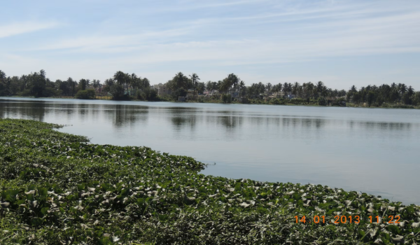 Featured Image Of Varthur Lake Biodiversity Park
