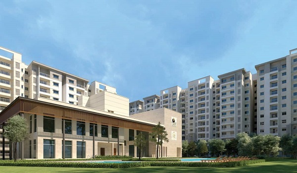Featured Image of Experience The Vibrant Community At the Amphitheatre of Prestige Evergreen