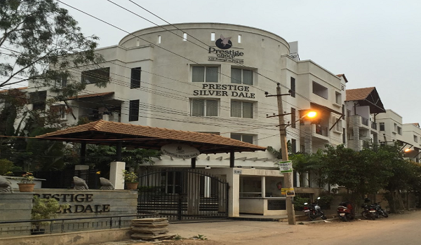 Featured Image of Prestige Silver Dale