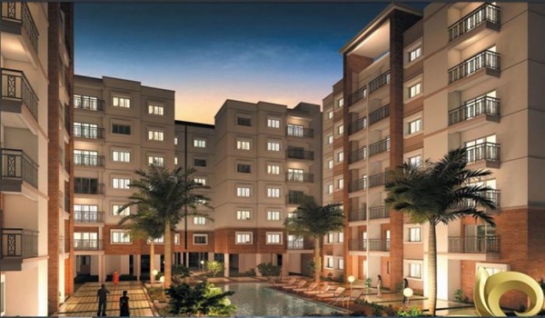 Featured Image of Prestige Evergreen