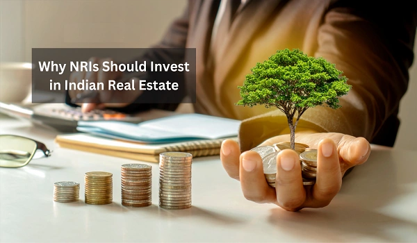 Featured Image of Should NRIs invest in apartments or plots in Bengaluru real estate