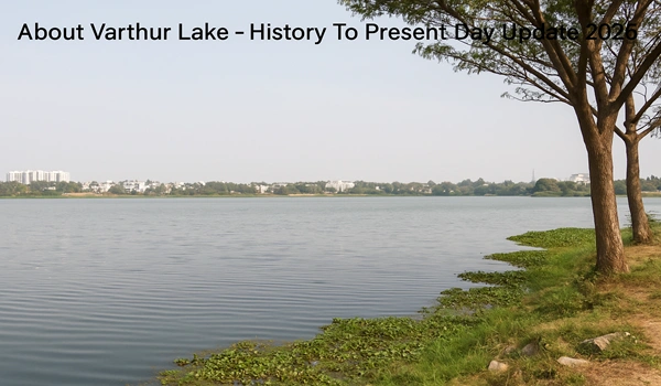 Varthur Lake Rejuvenation and Connectivity View