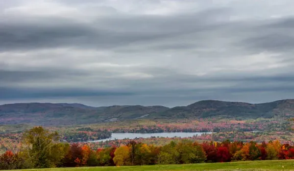 Featured Image of Whitefield Meaning in Hindi